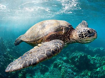 环境背景下的工业照明